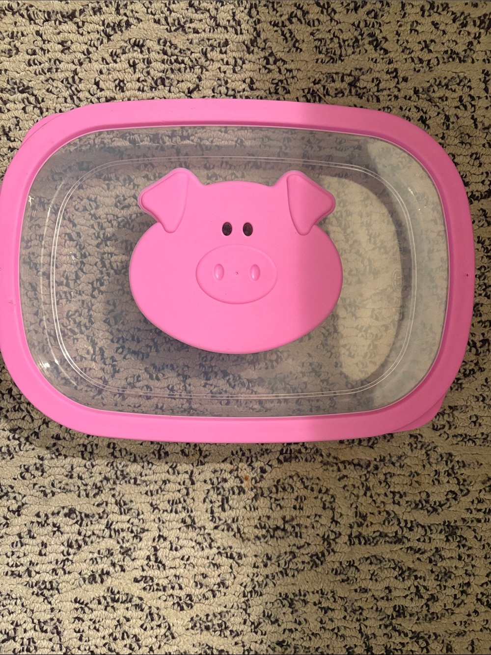Ham/Bacon Fridge Container